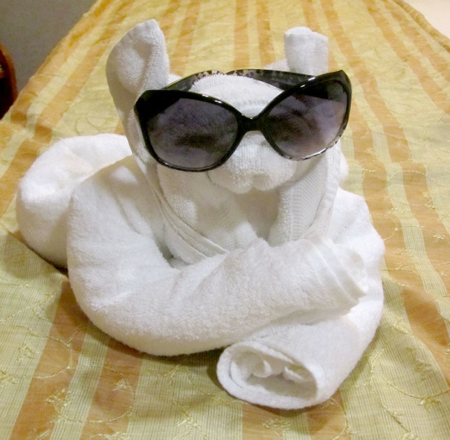 let's not forget the towel animal!