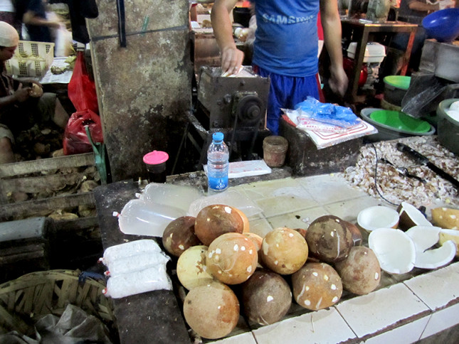 Fresh coconut milk anyone?